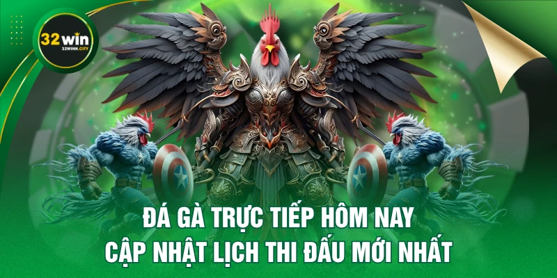 Đá Gà Trực Tiếp Hôm Nay - Cập Nhật Lịch Thi Đấu Mới Nhất