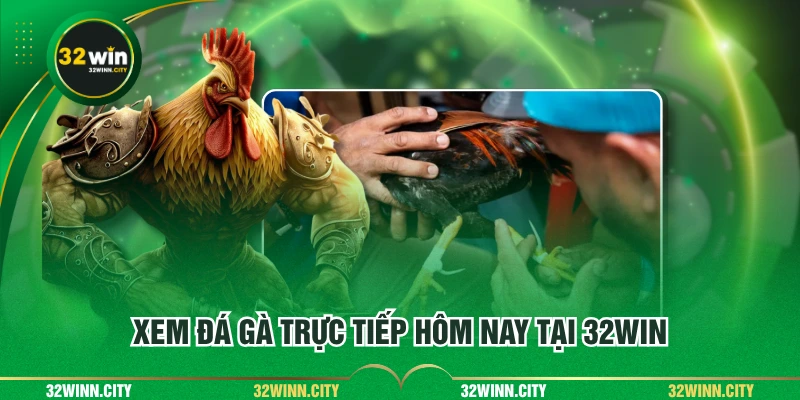 Xem đá gà trực tiếp hôm nay tại 32WIN